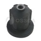 OSSCA 13005