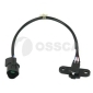 Ossca 21284