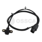 OSSCA 10754