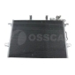 Ossca 12455
