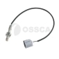 41064 Ossca 