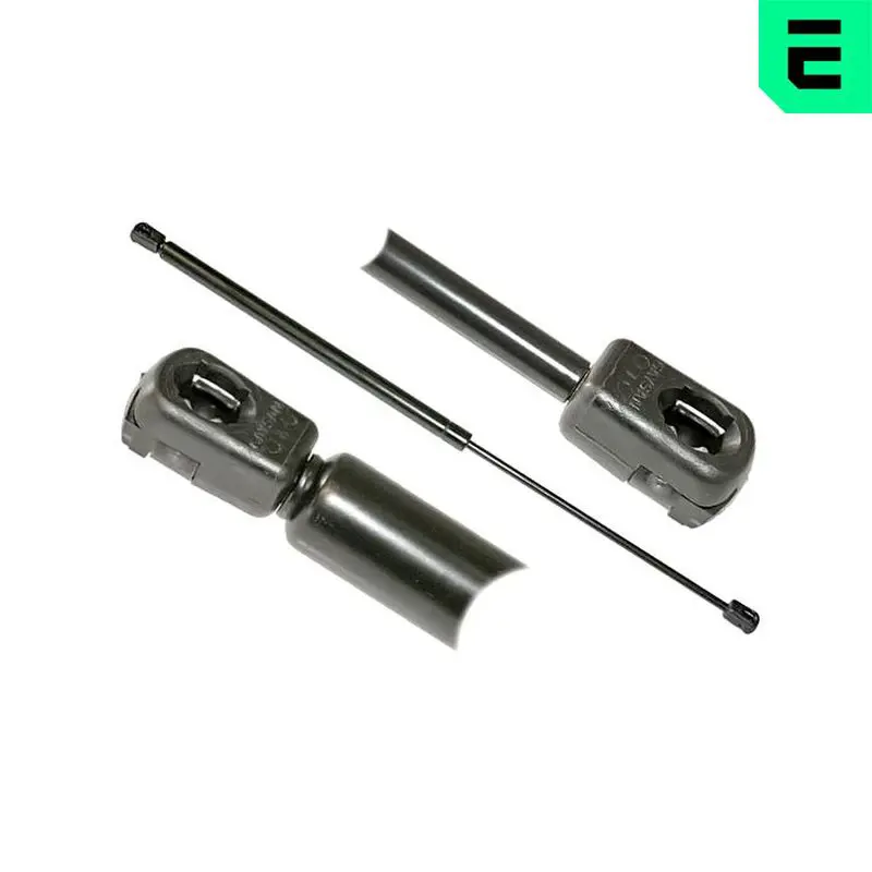 AG17030 