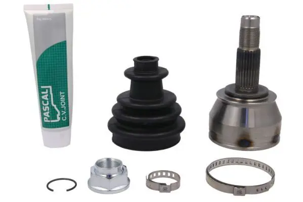 PASCAL G1F059PC Шарнирный комплект