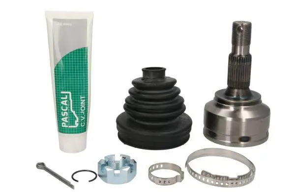 PASCAL G1P025PC Шарнирный комплект