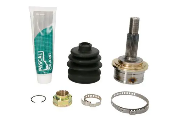 PASCAL G12091PC Шарнирный комплект