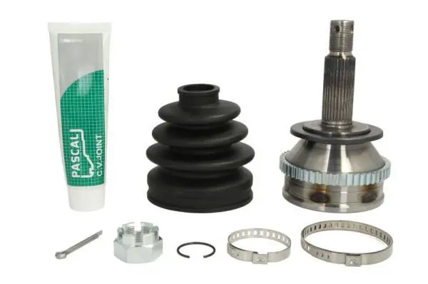 PASCAL G10536PC Шарнирный комплект