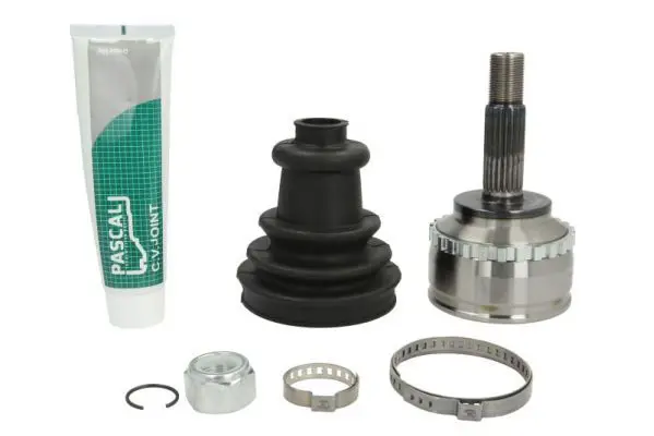 PASCAL G1R025PC Шарнирный комплект