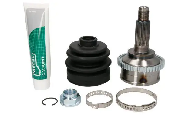 PASCAL G13026PC Шарнирный комплект