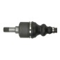 PASCAL G2C088PC