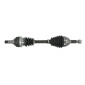 PASCAL G2X029PC