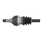 PASCAL G2X029PC