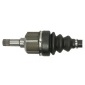 PASCAL G2C126PC