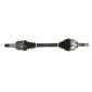 PASCAL G2X046PC