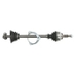 G2R066PC PASCAL Drive Shaft