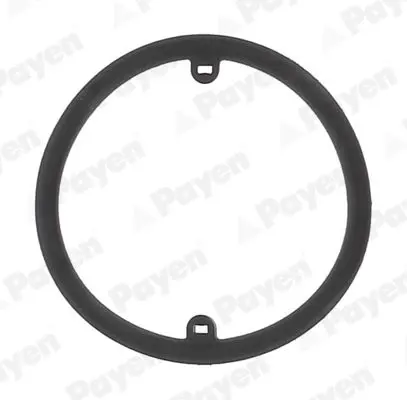 PAYEN KK5686 кольцо уплотнительное фильтра