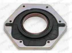 PAYEN NF885 Уплотняющее кольцо