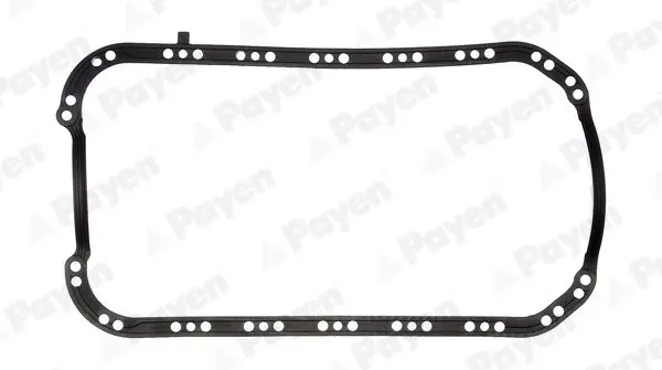 PAYEN JH5173 Прокладкa