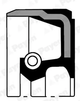 PAYEN NB928 Уплотняющее кольцо