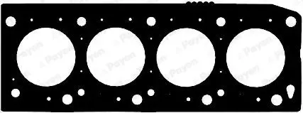 Payen AB5330 Прокл.ГБЦ [1,42mm]