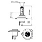 PHILIPS 12342VPB1