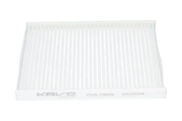FCA10049 