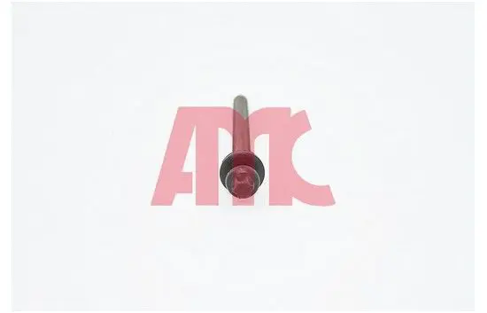 AMC 258001 Болты ГБЦ, комплект