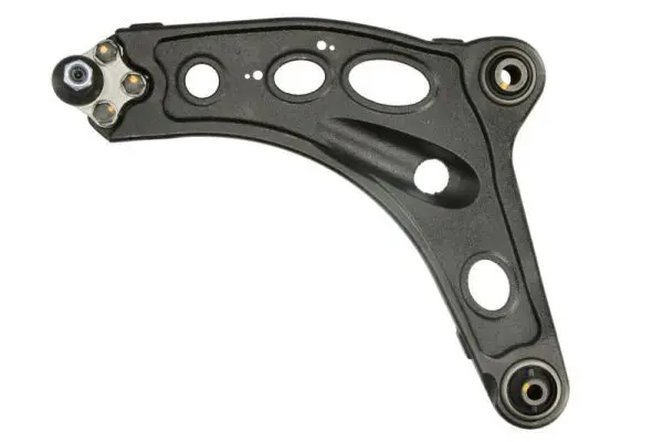 REINHOCH RH042058 Рычаг независимой подвески