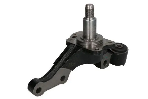 REINHOCH RH087001 Поворотный кулак, подвеска