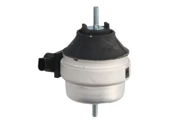 REINHOCH RH110023 Подвеска, двигатель