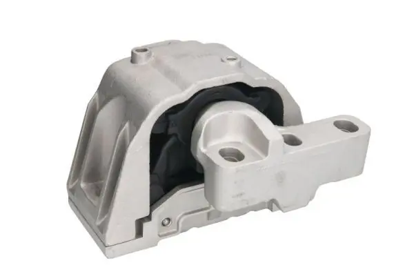 REINHOCH RH110025 Подвеска, двигатель