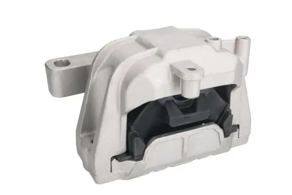 REINHOCH RH110033 Подвеска, двигатель