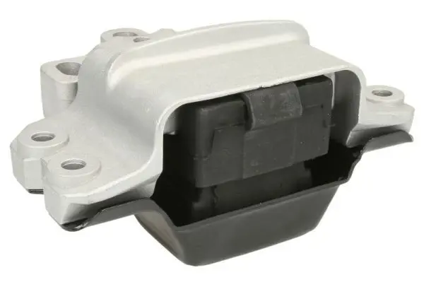 REINHOCH RH110035 Подвеска, двигатель