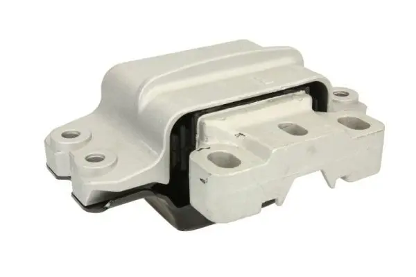REINHOCH RH110046 Подвеска, двигатель