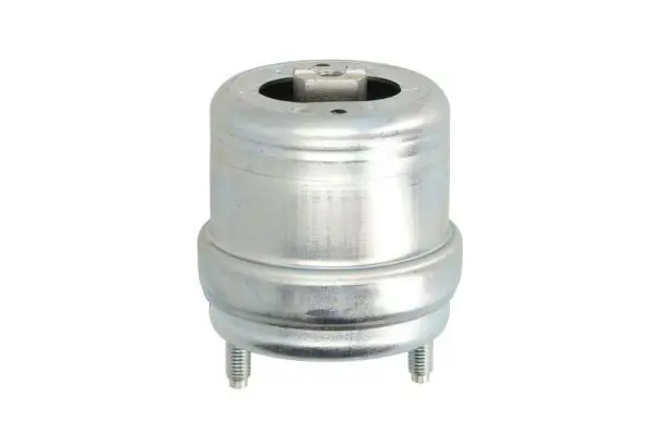 RH11-0054 Подвеска, двигатель