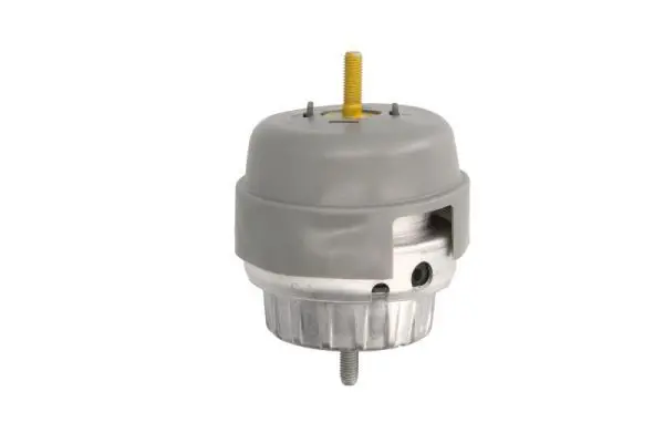 REINHOCH RH110069 Подвеска, двигатель