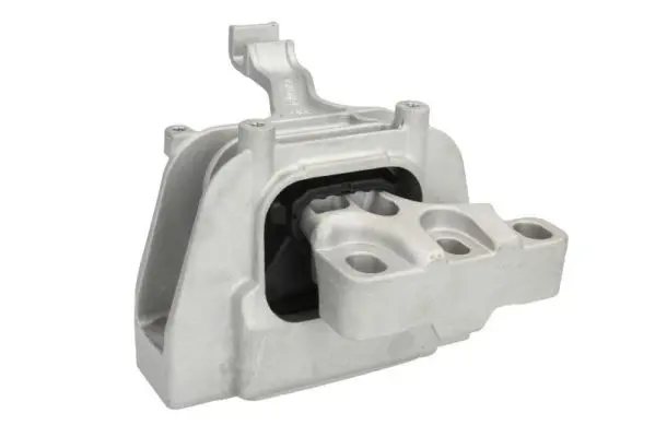 REINHOCH RH110091 Подвеска, двигатель