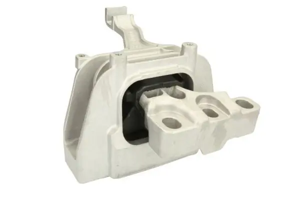 REINHOCH RH110092 Подвеска, двигатель