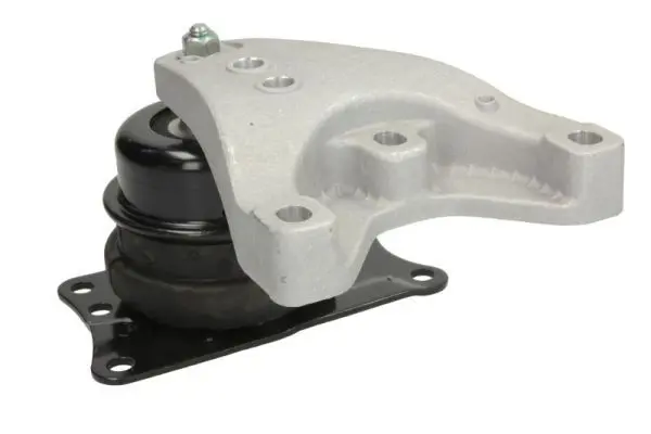 REINHOCH RH110123 Подвеска, двигатель