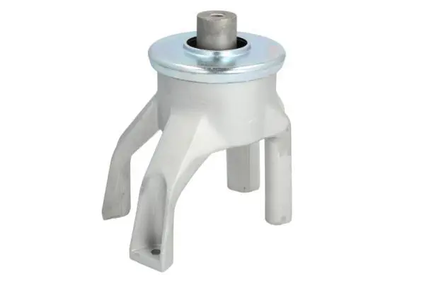 REINHOCH RH110125 Подвеска, двигатель