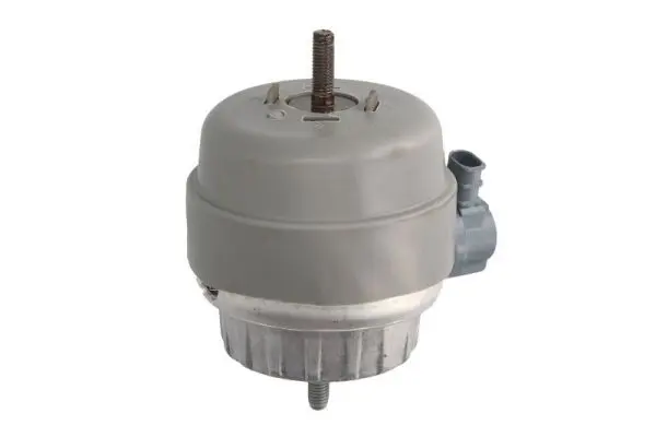 REINHOCH RH110127 Подвеска, двигатель