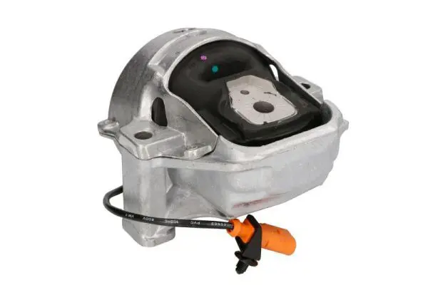 REINHOCH RH110139 Подвеска, двигатель