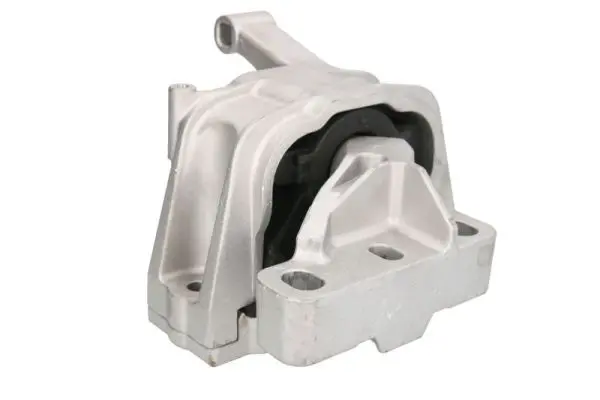 REINHOCH RH110140 Подвеска, двигатель