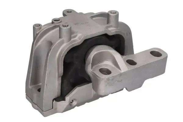 REINHOCH RH110157 Подвеска, двигатель