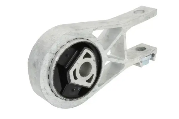 REINHOCH RH111024 Подвеска, двигатель