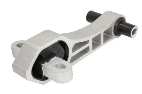 REINHOCH RH111028 Подвеска, двигатель