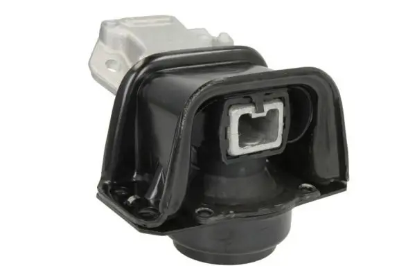 REINHOCH RH112056 Mounting, engine