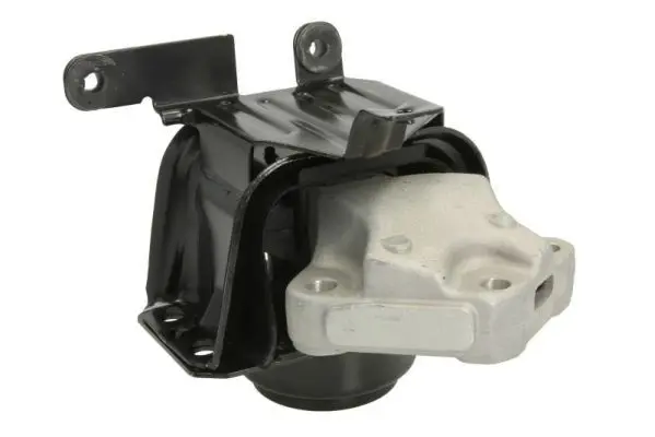 REINHOCH RH112102 Кронштейн, подвеска двигателя