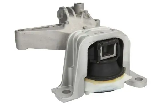 REINHOCH RH112116 Подвеска, двигатель