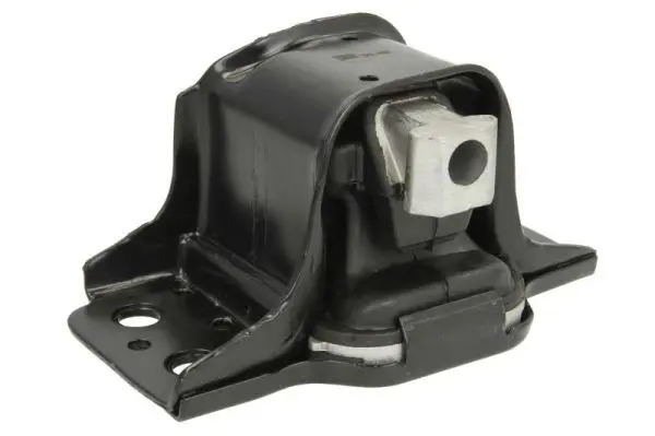 REINHOCH RH112136 Mounting, engine