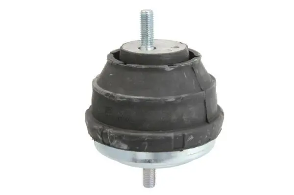 REINHOCH RH113002 Подвеска, двигатель